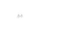 Apiwiz Logo